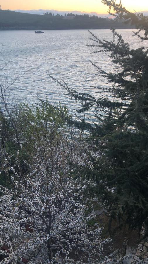 Zimer Al-Bayt Mas'ada Εξωτερικό φωτογραφία