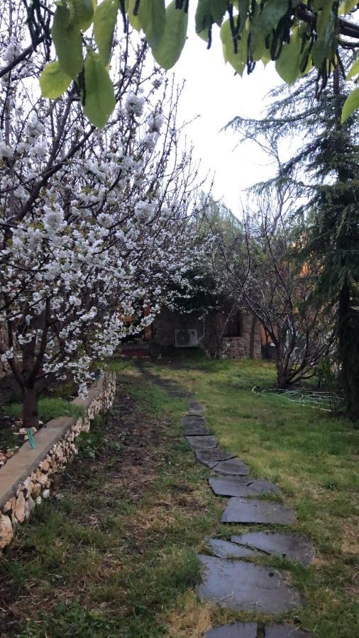 Zimer Al-Bayt Mas'ada Εξωτερικό φωτογραφία