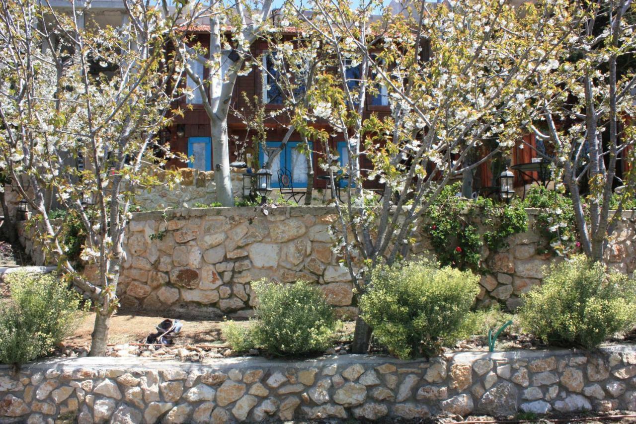 Zimer Al-Bayt Mas'ada Εξωτερικό φωτογραφία
