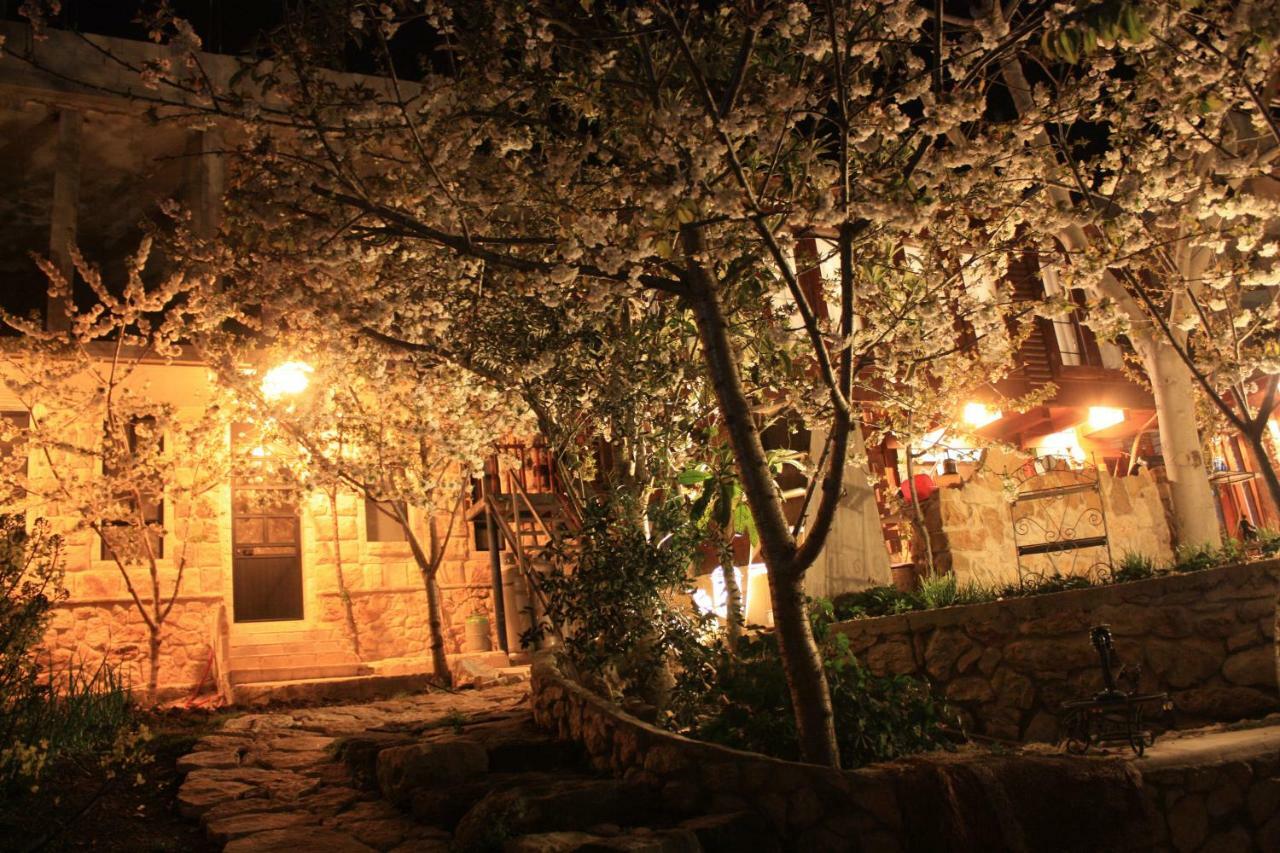 Zimer Al-Bayt Mas'ada Εξωτερικό φωτογραφία