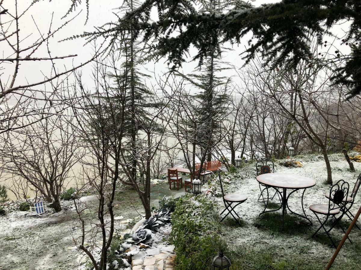 Zimer Al-Bayt Mas'ada Εξωτερικό φωτογραφία