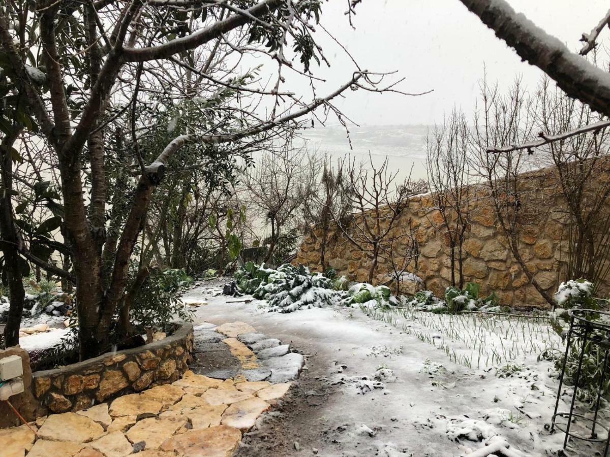 Zimer Al-Bayt Mas'ada Εξωτερικό φωτογραφία